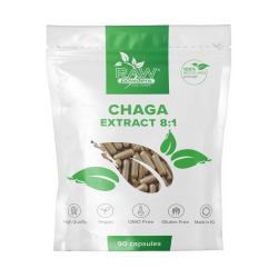 Chaga Extract 8:1 500mg 90 capsules