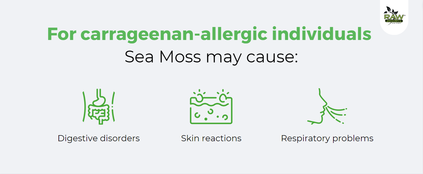 For carrageenan-allergic individuals Sea Moss may cause: Digestive disorders; Skin reactions; Respiratory problems.