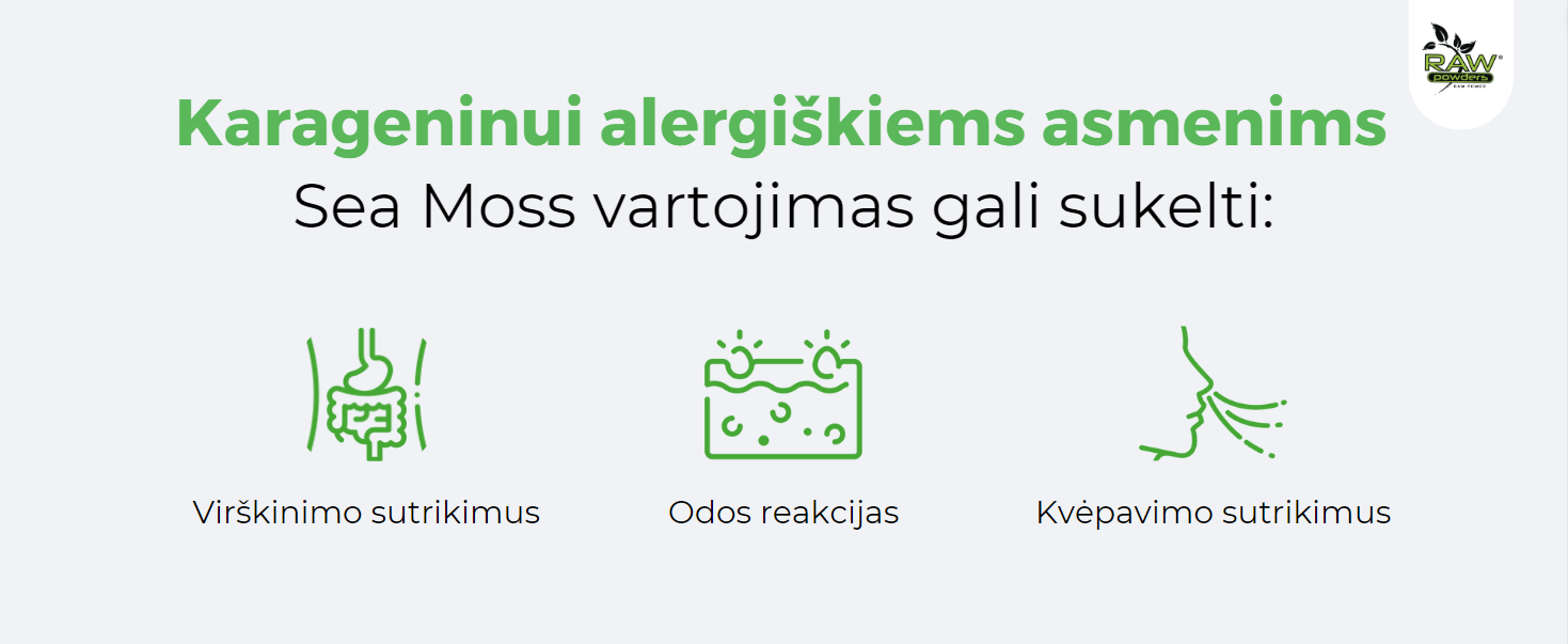 Karageninui alergiškiems asmenims Sea Moss vartojimas gali sukelti: Virškinimo sutrikimus; Odos reakcijas; Kvėpavimo sutrikimus