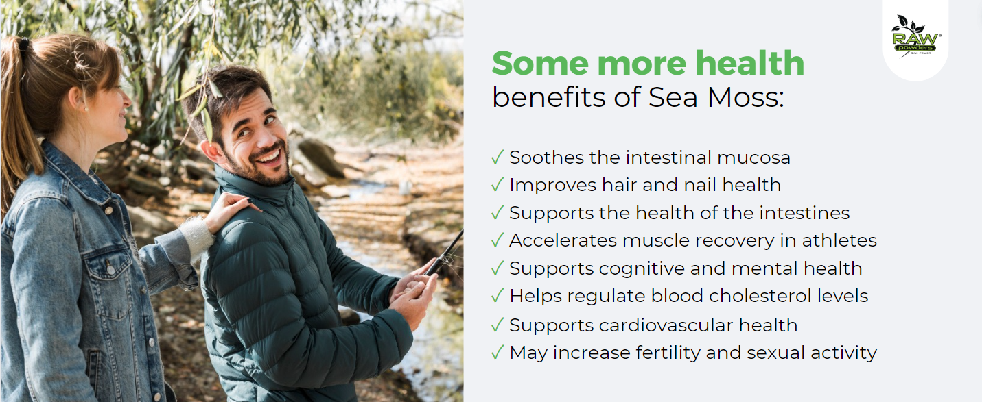 Sea Moss health benefits