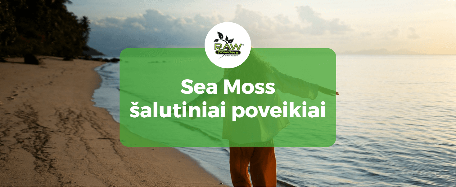 Sea Moss šalutiniai poveikiai: ką turėtumėte žinoti