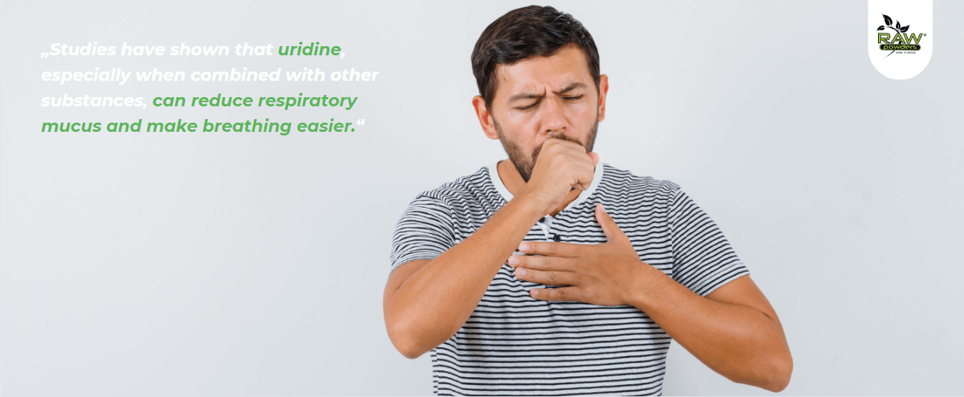Studies have shown that uridine, especially when combined with other substances, can reduce respiratory mucus and make breathing easier.