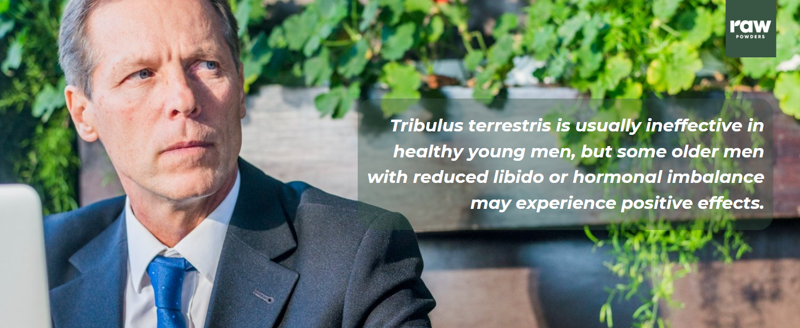 Tribulus terrestris benefits for male