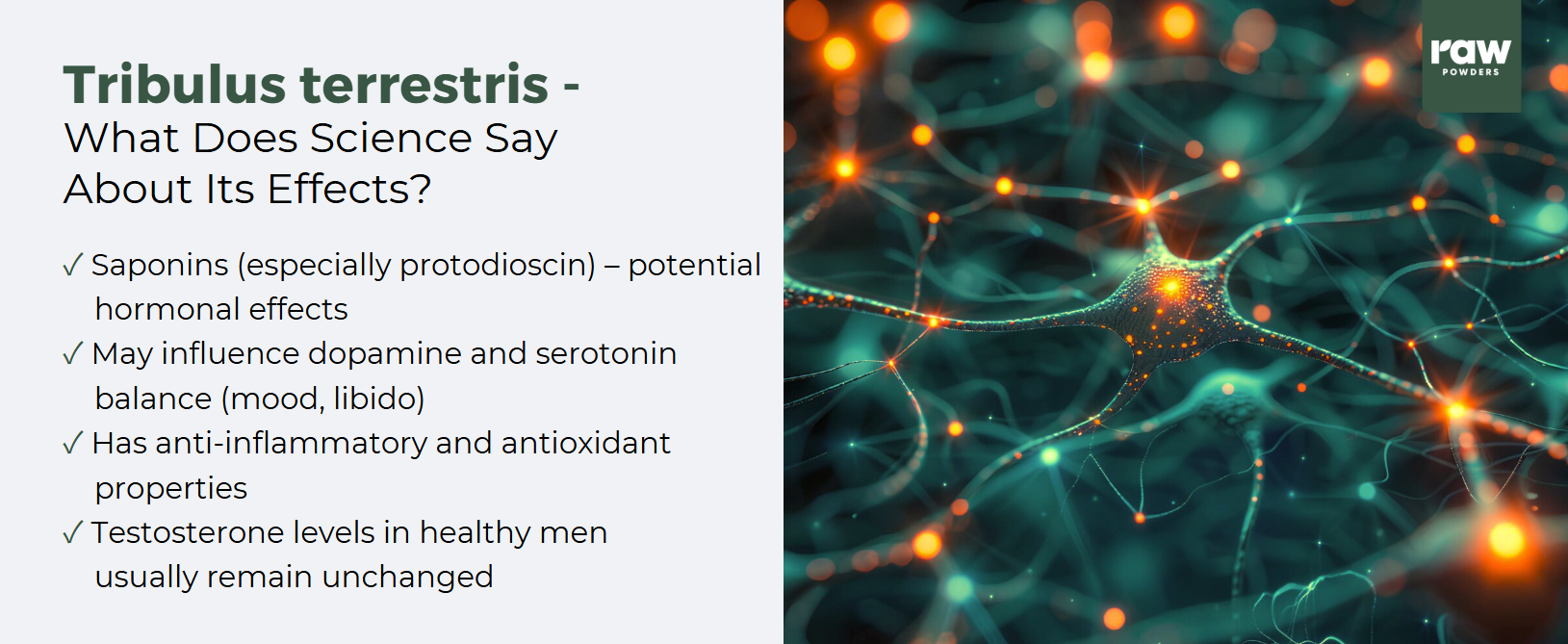 Tribulus terrestris benefits