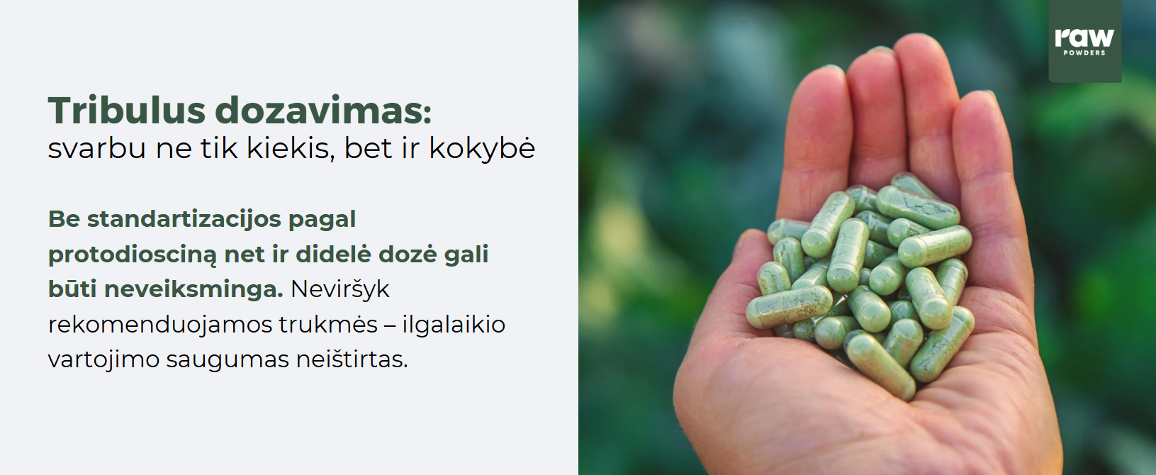 Tribulus terrestris dozavimas