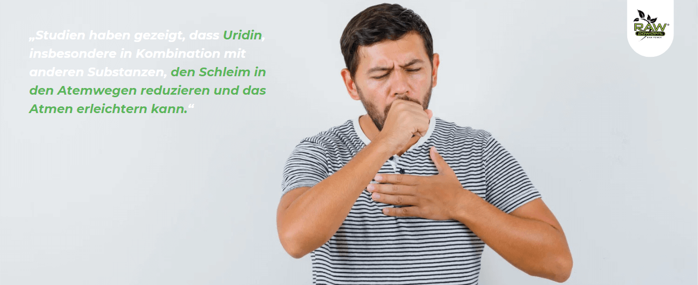 Studien haben gezeigt, dass Uridin, insbesondere in Kombination mit anderen Substanzen, den Schleim in den Atemwegen reduzieren und das Atmen erleichtern kann.
